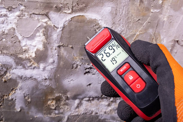 Best HVAC Mold Remediation in Berne, IN